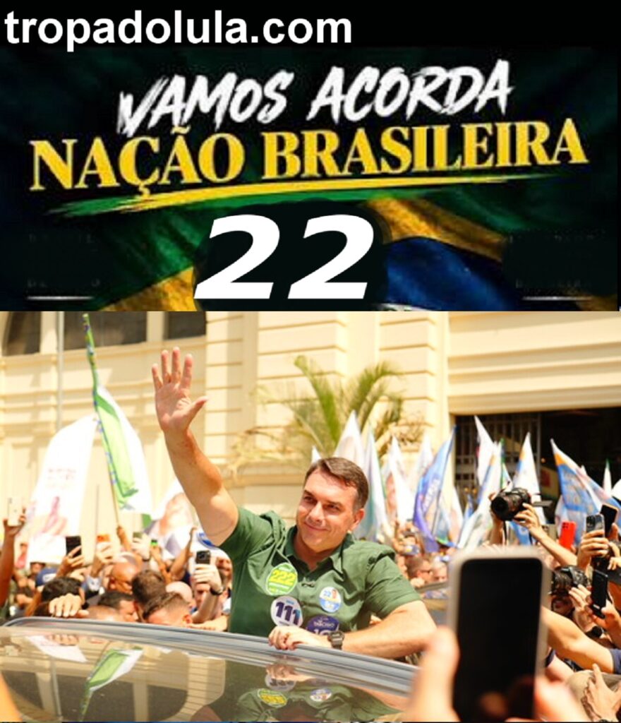 Militares brasileiros em formação durante solenidade oficial.